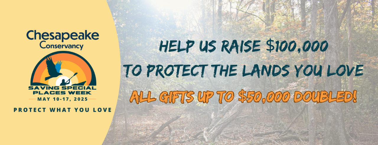 Chesapeake Conservancy - Saving Special Places Week 2025